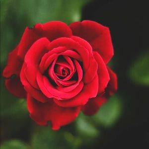 Meet your Posher, Lavita